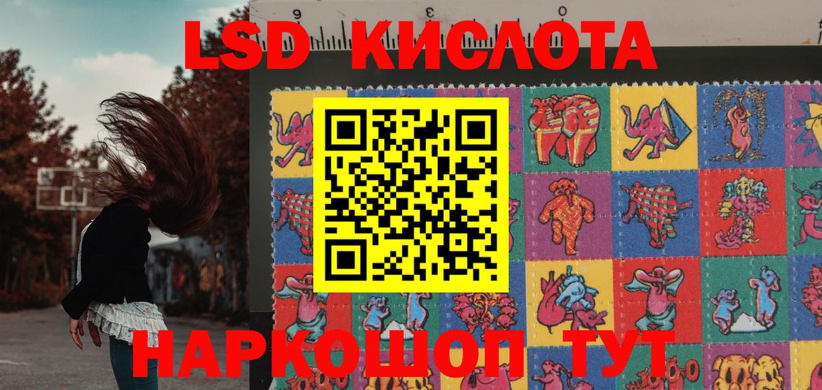 Наркотические марки  Вход с VPN  Новодвинск  Наркотические марки 1,5мг 