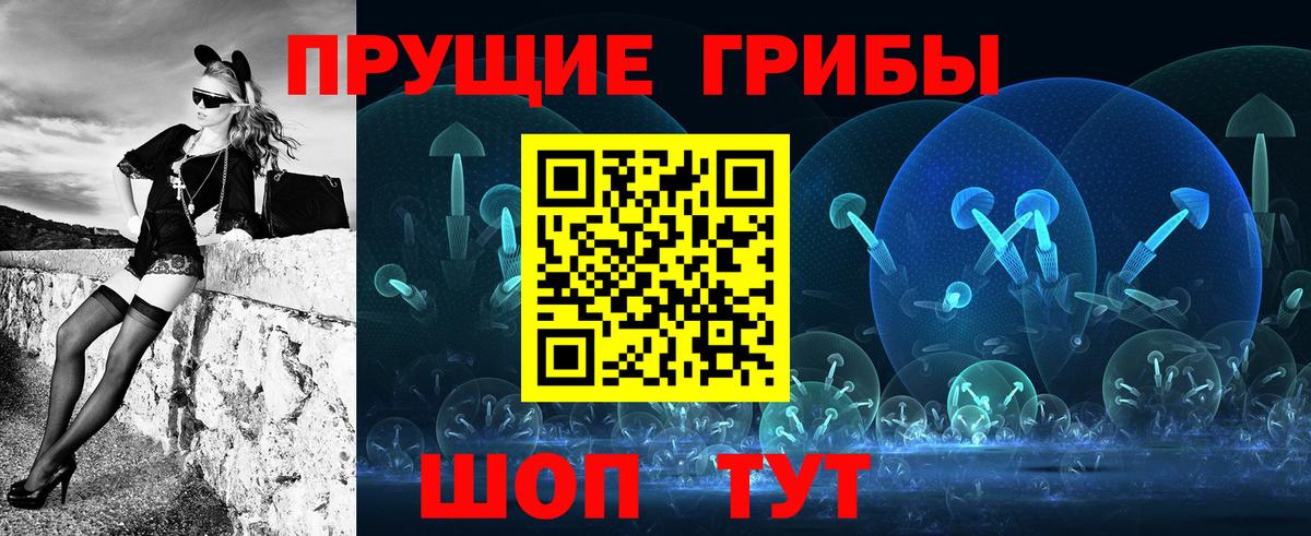 Галлюциногенные грибы Psilocybe Новодвинск