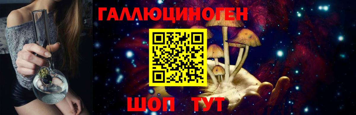 Псилоцибиновые грибы ЛСД  Вход с VPN  Новодвинск  Галлюциногенные грибы MAGIC MUSHROOMS 